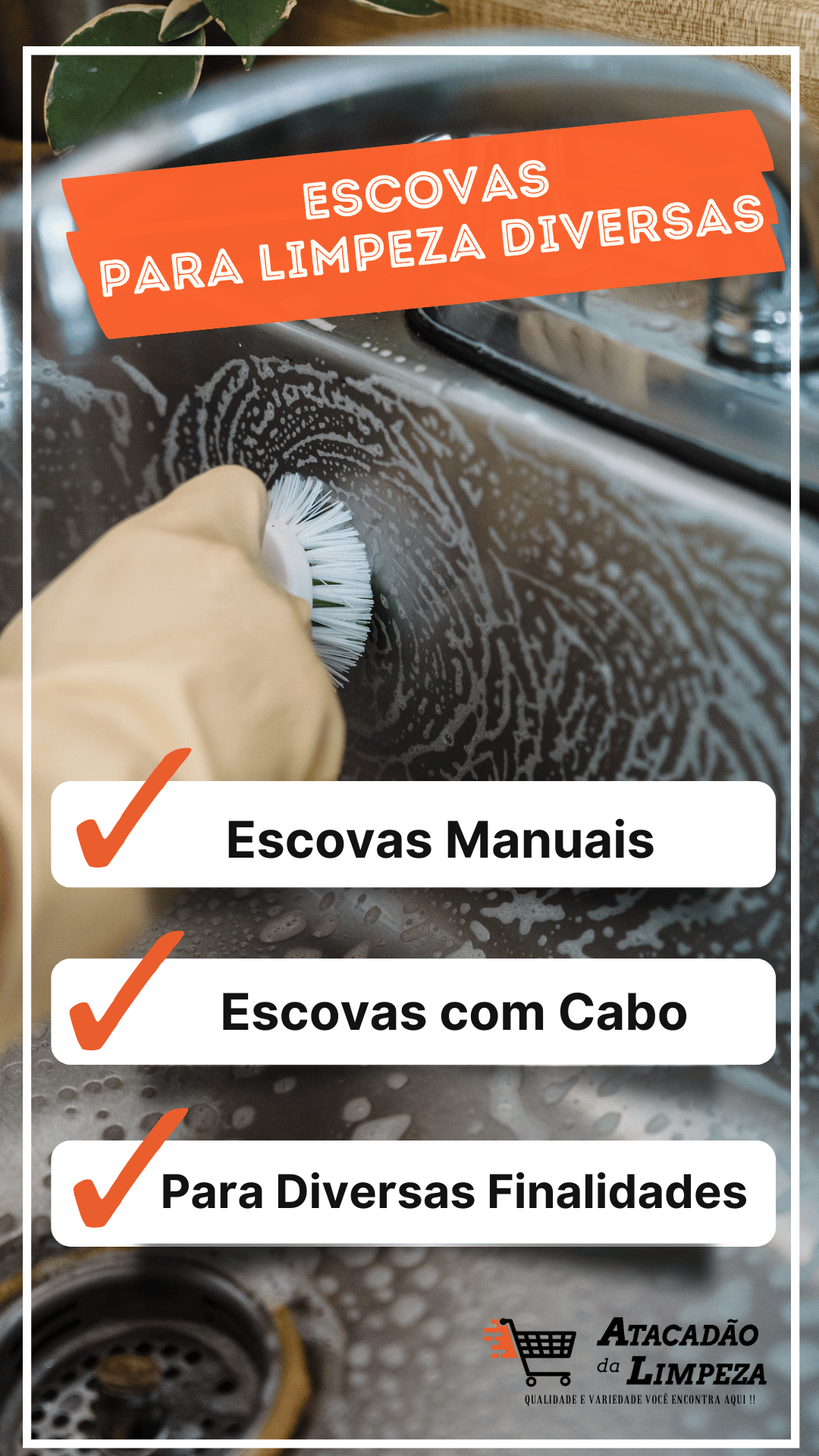 Escovas.png